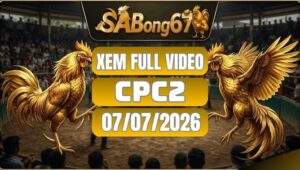 Phát Lại Đá Gà CPC2 Ngày 07/07/2026 Tại SABONG67