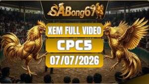 Phát Lại Đá Gà CPC5 Ngày 07/07/2026 Tại SABONG67
