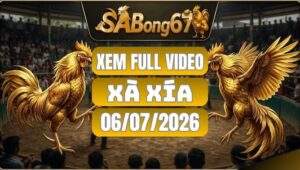 Phát Lại Đá Gà Xà Xía Ngày 06/07/2026 Tại SABONG67