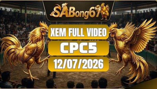 Tổng Hợp Video Đá Gà CPC5 Ngày 12/07/2026 Tại SABONG67